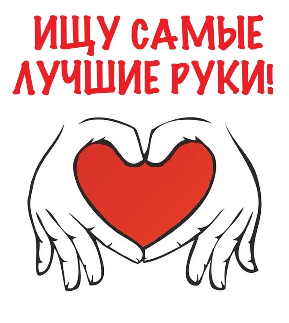 Очень очень очень очень добрые руки. Ищем добрые руки. малыши ищут дом и заботливых хозяев. в самые добрые руки. очень нужен дом и любящий хозяин.
