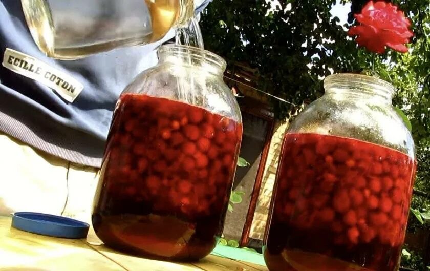 Как делать вишневую настойку