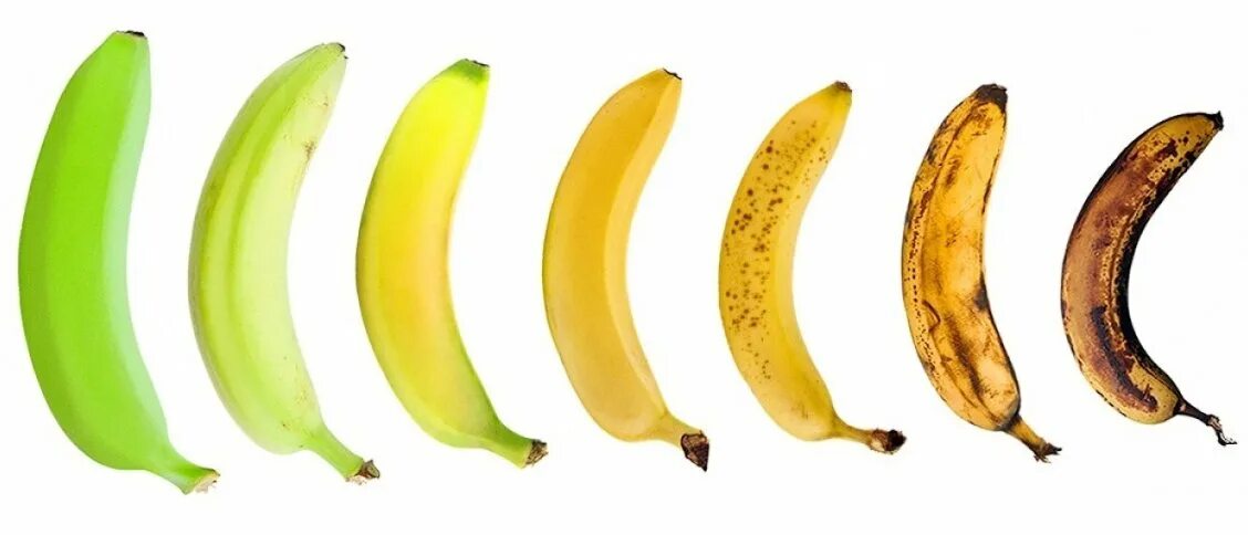 Банан с какого возраста можно давать ребенку. Стадии созревания бананов. Степень зрелости банана. Банан разной степени зрелости. Степень созревания бананов.