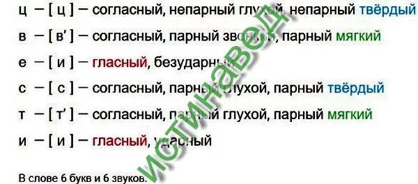 Цвели фонетический разбор. Цвели фонетический разбор