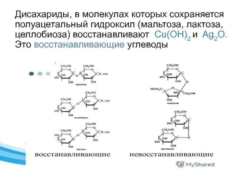 Дисахаридом является углевод