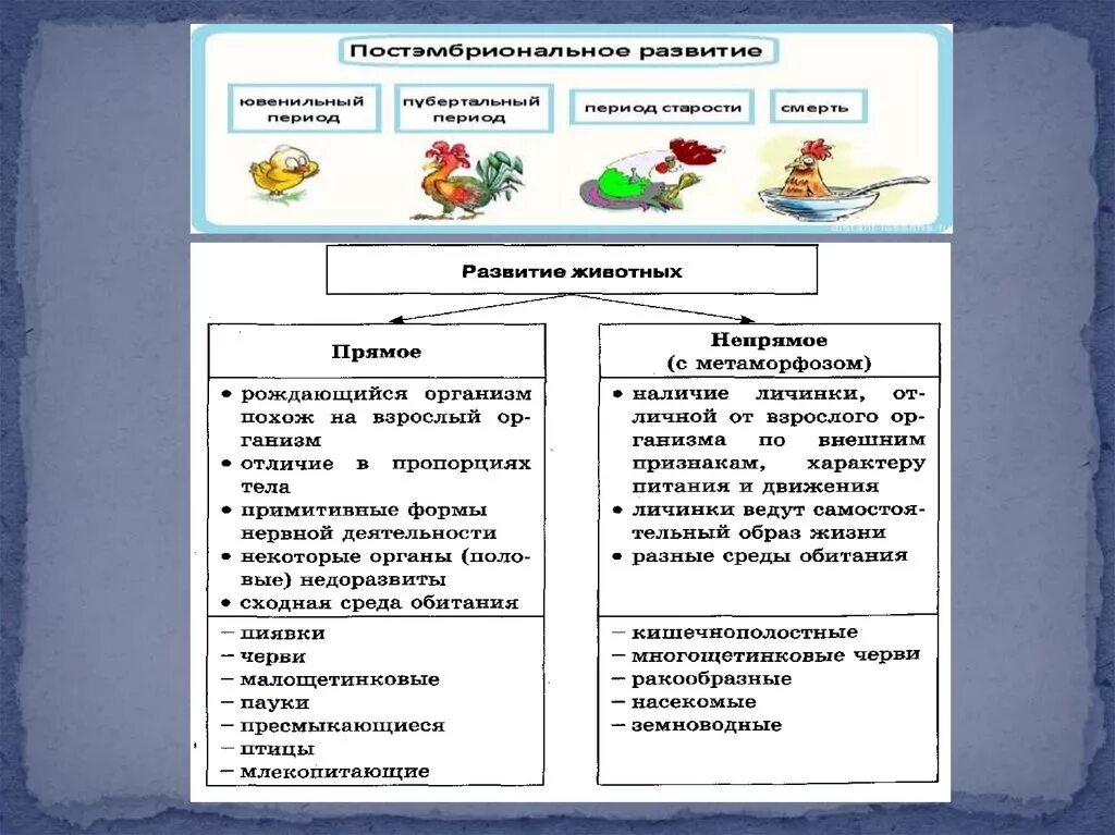 Методы исследования в биологии схема. Методы научных исследований в биологии ЕГЭ. Биология методы изучения биологии. Методы биологии таблица.