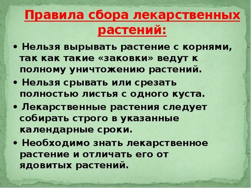Правила сбора лекарственных трав и растений. Правила сбора лекарственных трав. Правила правила растений. Календарь сбора лекарственных растений. Правила готовки лекарственных растений.