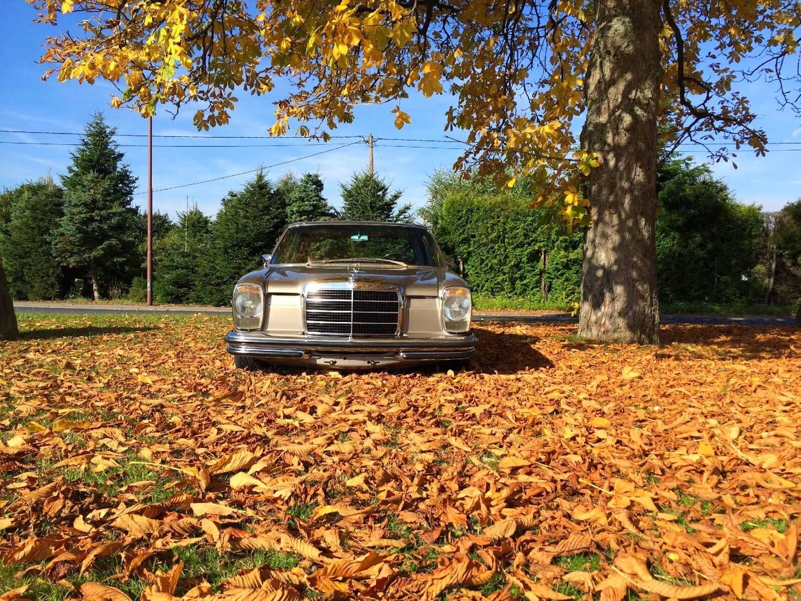 ВОЛШЕБНАЯ ОСЕНЬ - Mercedes-Benz C-class (W203), 1,8 л, 2004 года фотография DRIV