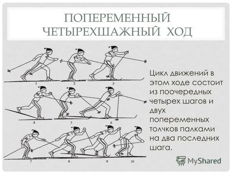 Цикл движения состоит