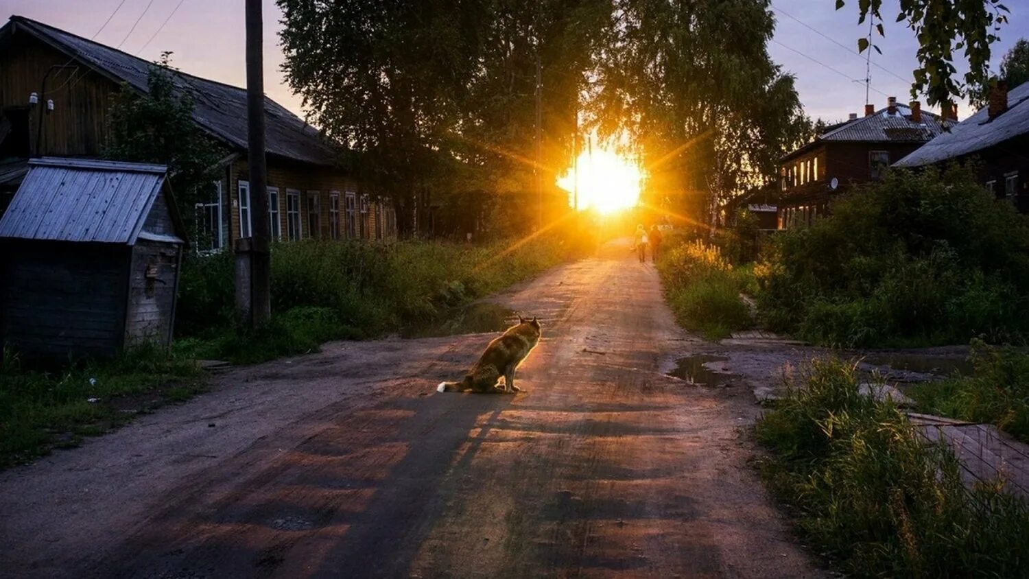 Сельские огни. Утро в деревне. Деревня летом. Летний вечер в деревне. Летнее утро в деревне.