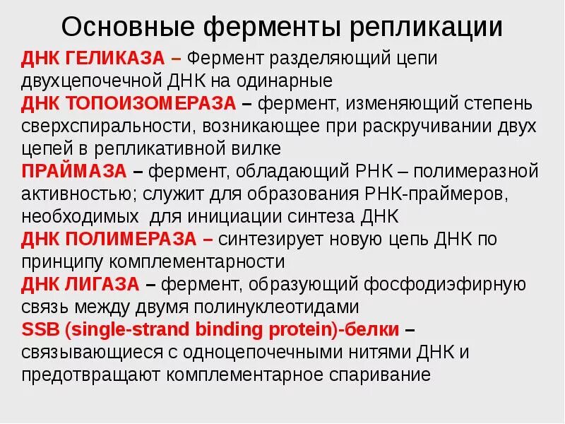 Ферменты репликации днк. Ферменты, участвующие в процессе репликации:. Ферменты участвующие в процессе репликации днк. Ферменты репликации днк. Ферменты участвующие в репликации днк и их функции.