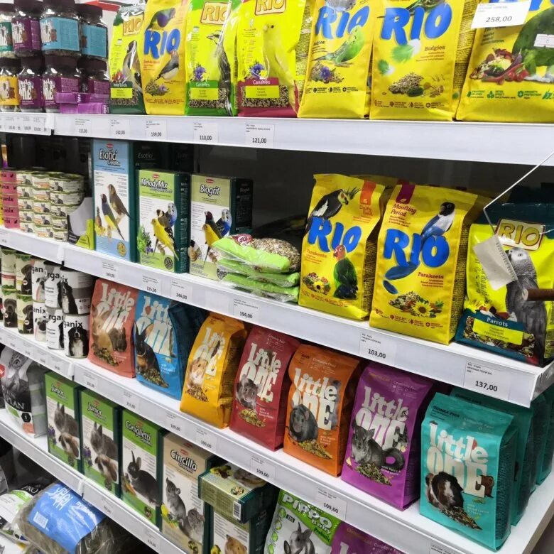 Зоомагазин. Продавец в зоомагазин. Продавец корма для животных. Зоомагазин животных. Зоомагазин животных.