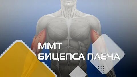 Тест бицепса