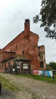 Некрасово калининградская область