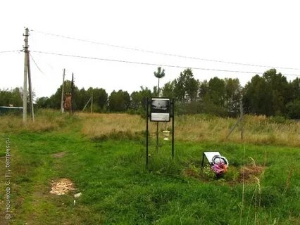 Погода в левкиево шаховская