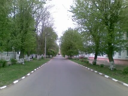Улица в новомосковске