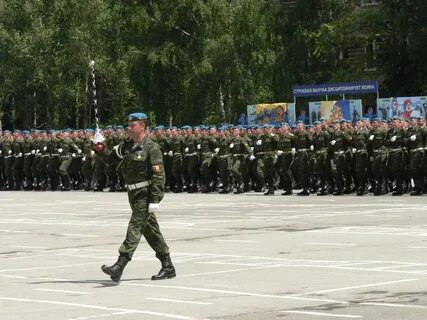 Тульская дивизия