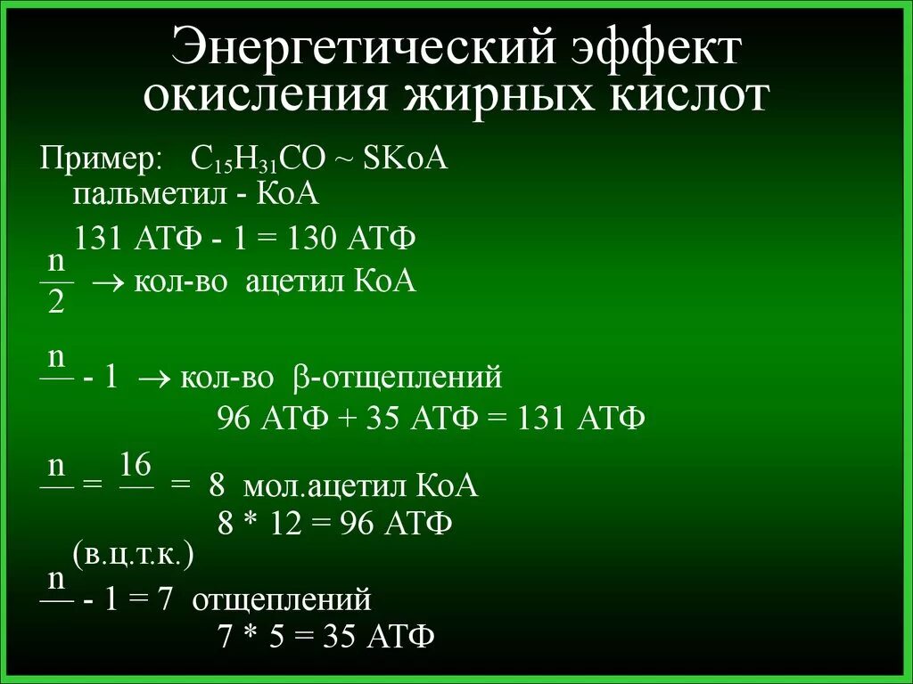 2 моль атф. Энергетический выход при окислении жирных кислот. Энергетический выход полного окисления жирных кислот.. Энергетическая эффективность окисления жирных кислот. Энергетика процесса окисления жирных кислот.