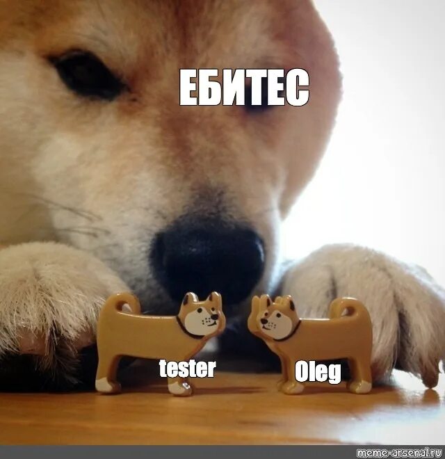 Собака мем. Собачка соситесь. Собачка ебитес. Мем ебитес. Мем ебитес.