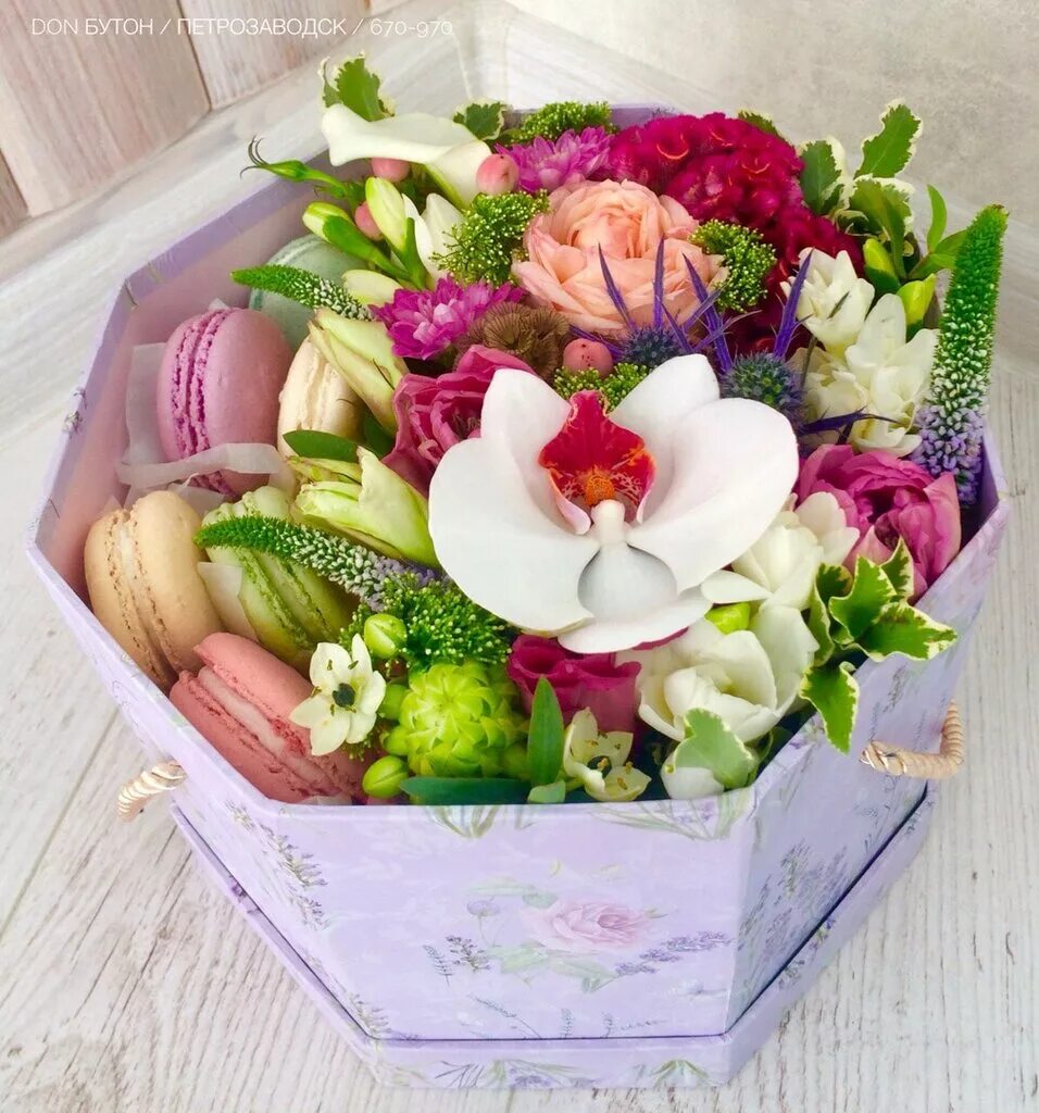 букет цветов петрозаводск. букет и макароны севастополь. дон бутон логотип. букет цветов петрозаводск. дон бутон петрозаводск.
