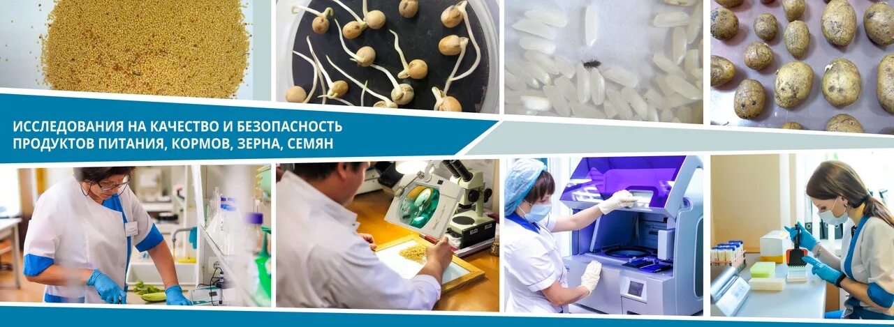 Референтный центр. Референтный центр россельхознадзора нальчик. Референтный центр россельхознадзора руководитель. Референтный центр россельхознадзора нальчик гамаева. Референтный центр россельхознадзора красноярск.