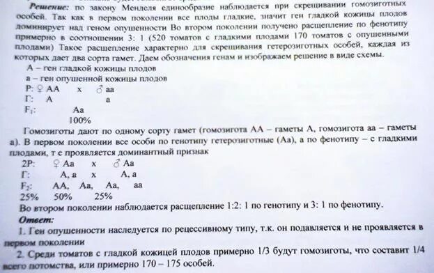 При скрещивание курицы с листовидным. Окраска оперения у кур сцепленный с полом. У кур полосатая окраска оперения доминантен и сцеплен. У кур ген определяющий окраску оперения наследуется сцеплено с полом. Сцепленный с полом ген b у канареек.