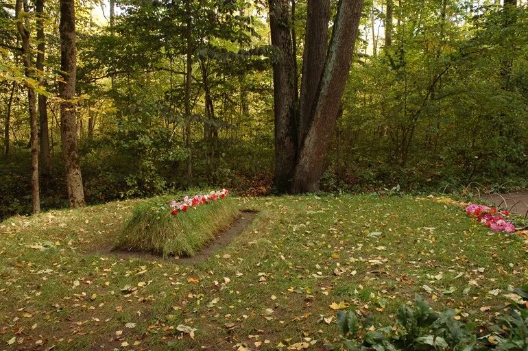 Лев поляна. Ясная поляна могила толстого. ясная поляна тула могила толстого. ясная поляна могила л.н.толстого. ясная поляна могила льва толстого.