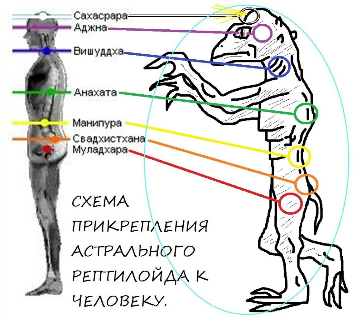 Человеком питаются сущности