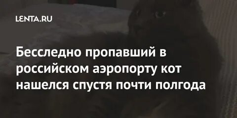 Почти пол года