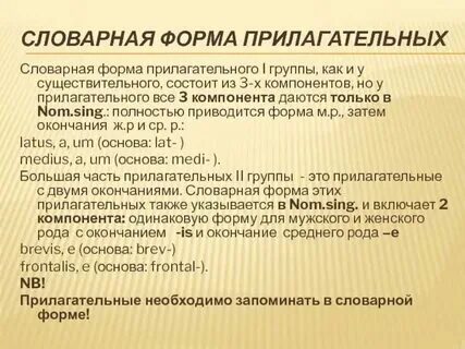 Правильная словарная форма существительного
