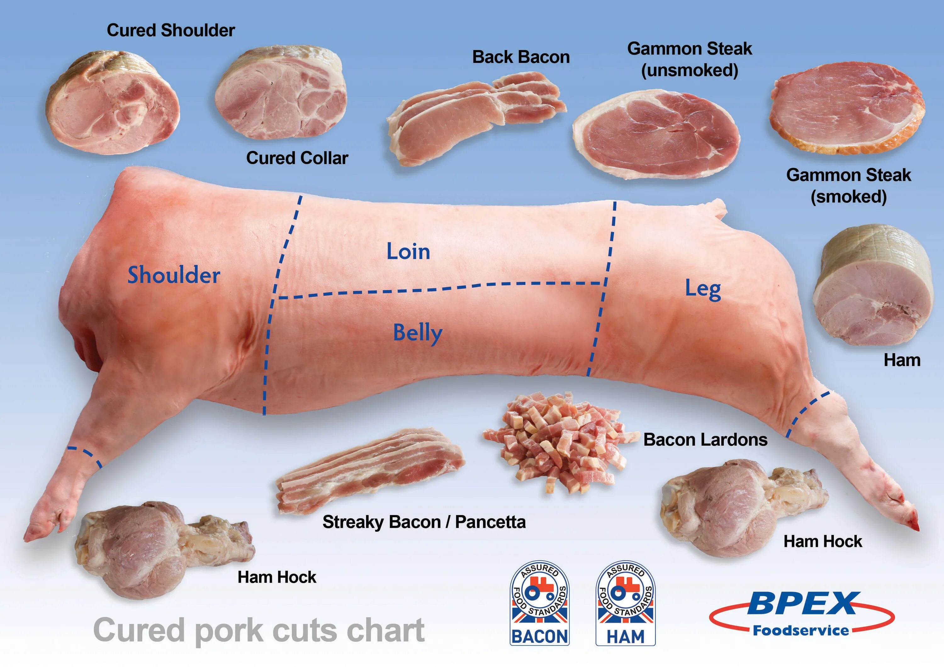 Bacon перевод. Pork Cuts Chart. Shoulder of Pork and Ham. (Pork, Bacon, Ham).