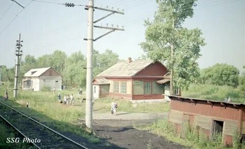 Погода в лесопильном