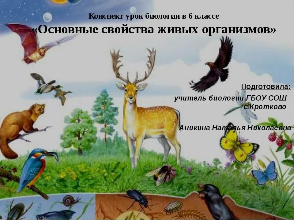 Жизнедеятельность организмов свойства живых организмов. Конспект живые организмы. жизнедеятельность живых организмов 6 класс. свойства жизнедеятельности живых организмов. жизнедеятельность организма картинки.