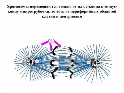Конец плюс