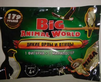 Текст big animal
