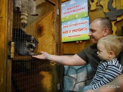 Контактный зоопарк рязань
