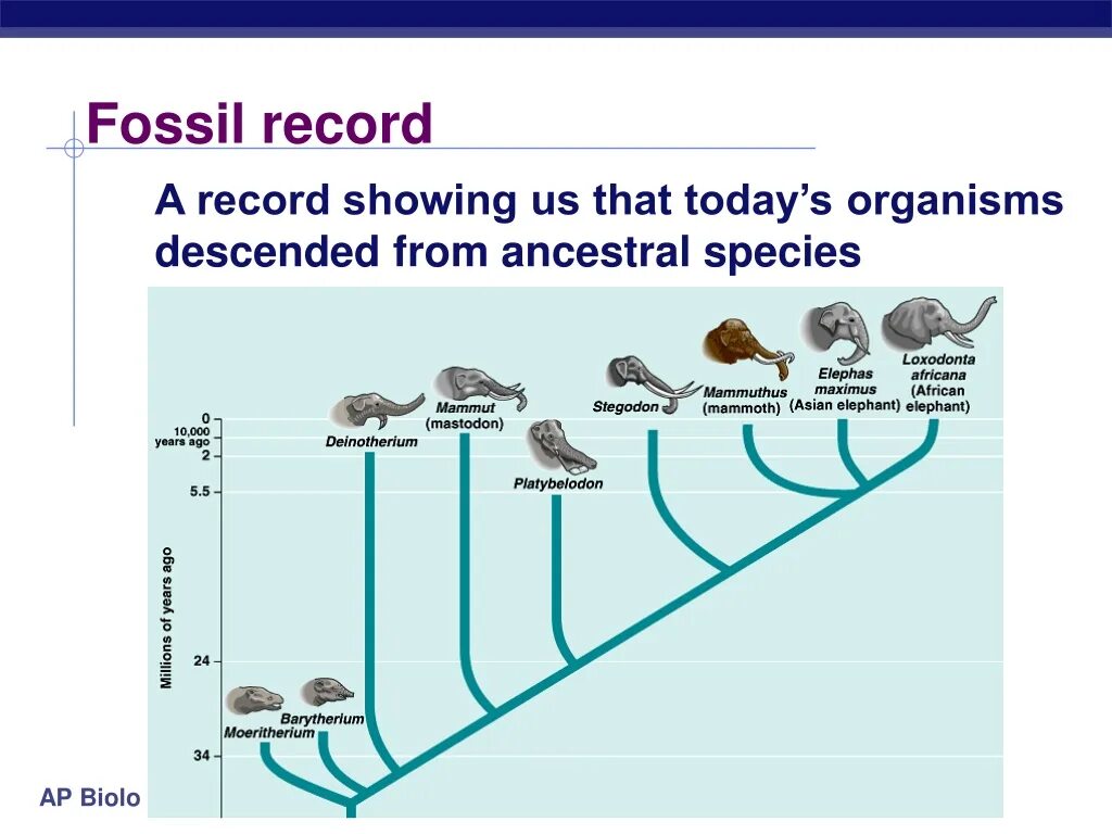 Fill in source fossil carbon organisms