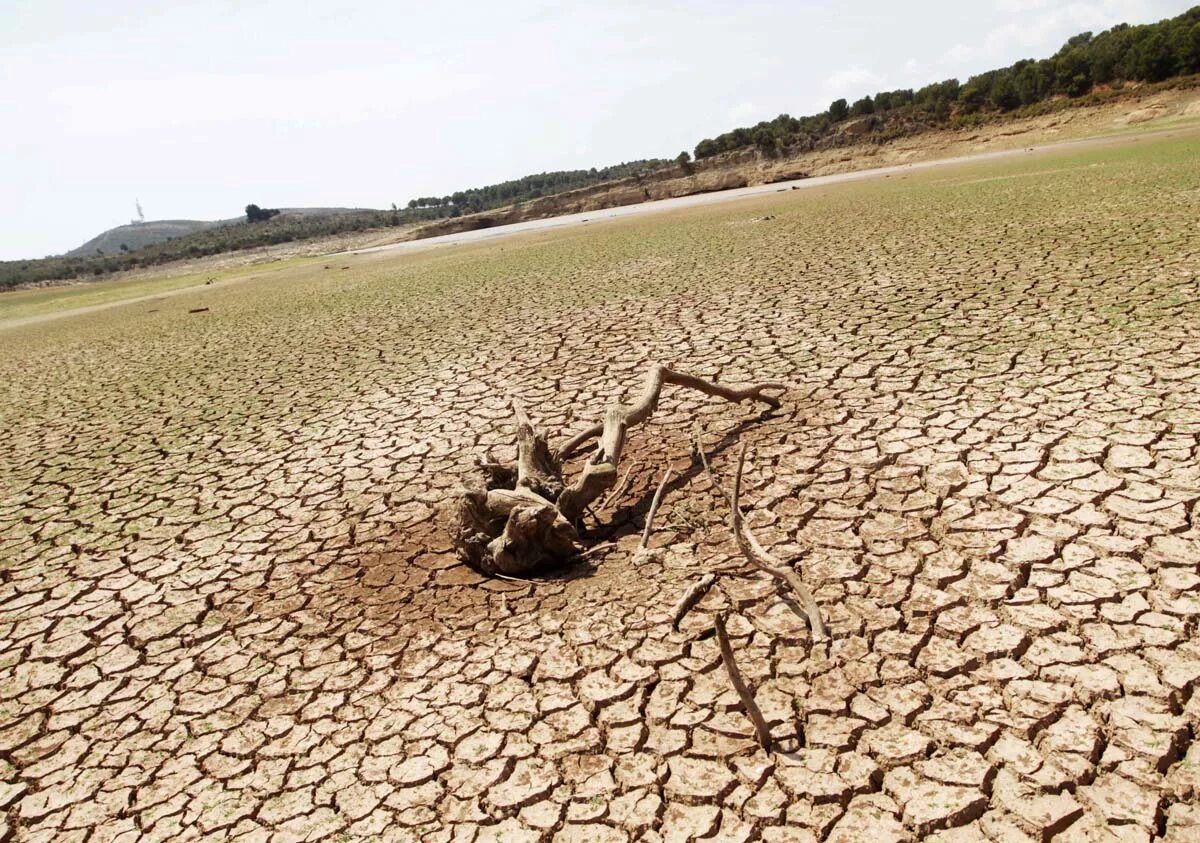 Засуха презентация. Засуха в августе. Засуха в древнем египте. Стояла засуха недели. Сообщение на тему засуха.