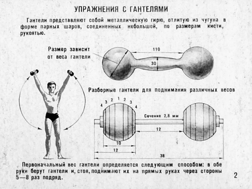 Занятия с гантелями по системе Сандова. Система Сандова упражнения с гантелями таблица.