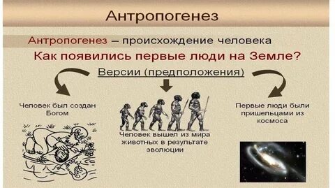 Как появилась 1 жизнь