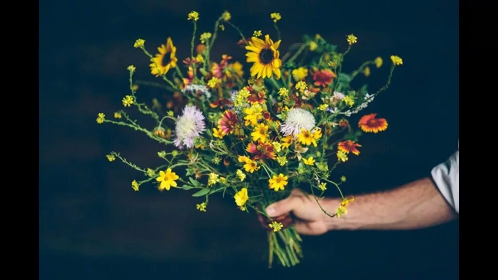 Девочка в ромашках. Мужчина с букетом ромашек. Соберу цветы подарю. Соберу цветы подарю. Соберу цветы подарю.