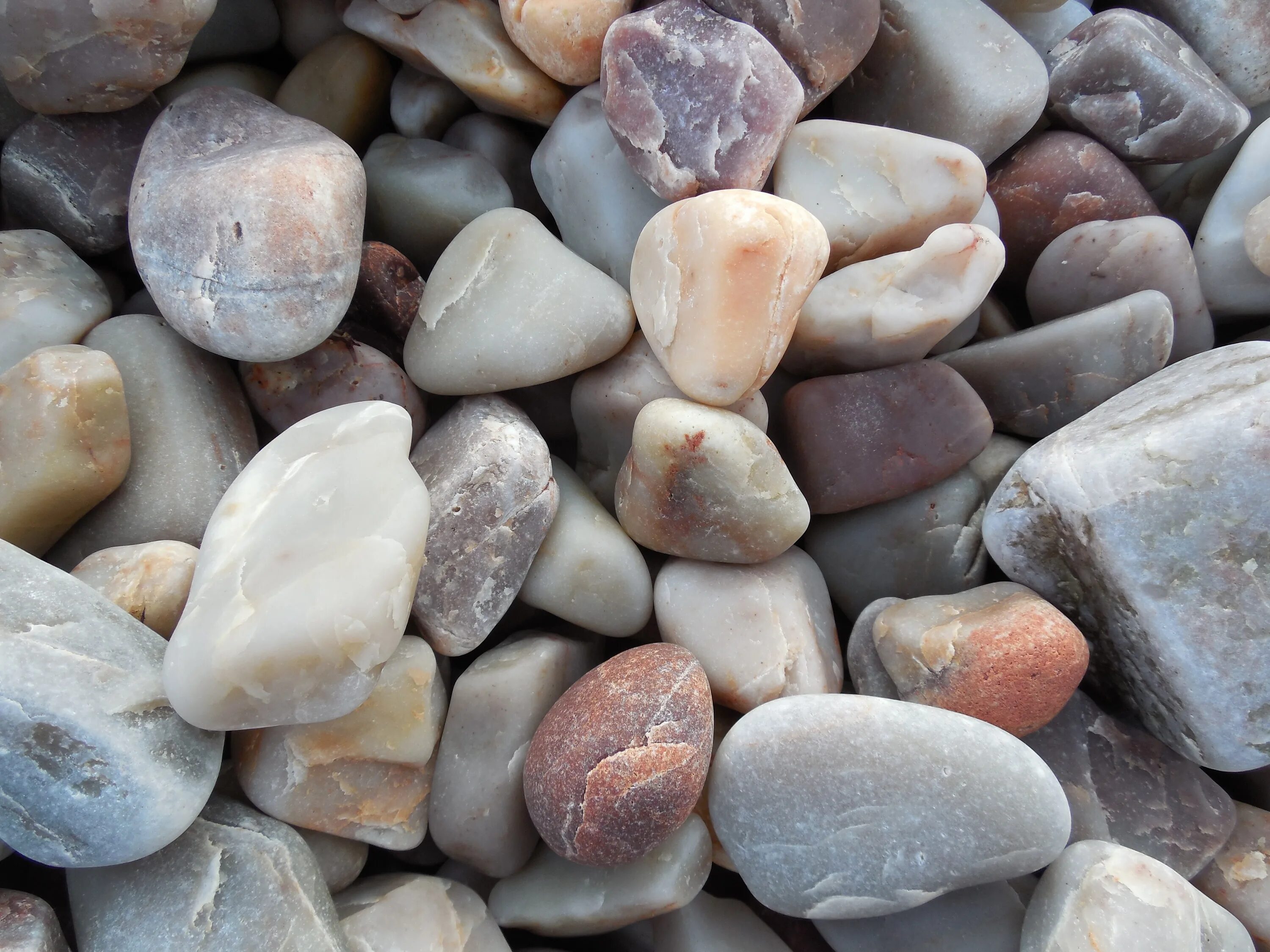Разнообразие камней. Камень обычный. Красивые камушки. Галька Горная порода. Красивые горные камни.