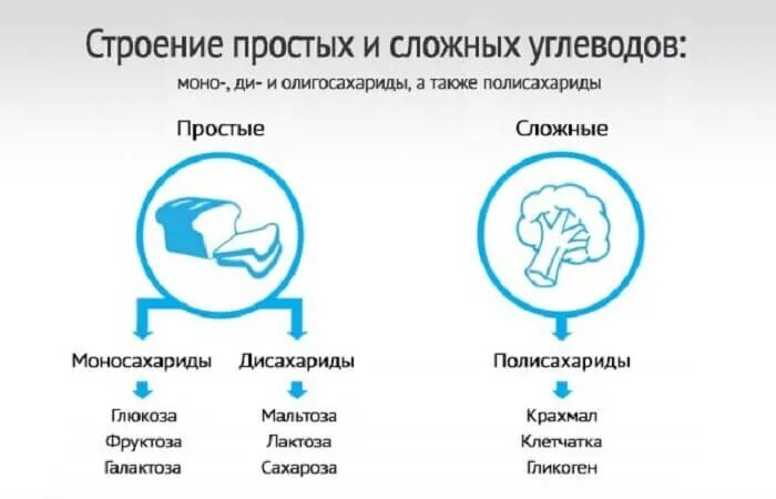 Простые и сложные углеводы. Простые и сложные углеводы различия. отличие сложных углеводов от простых. простые и сложные углеводы разница.