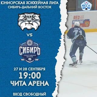 Хк манул