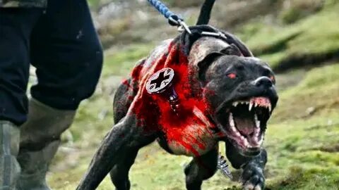 Покажите самые опасные в мире