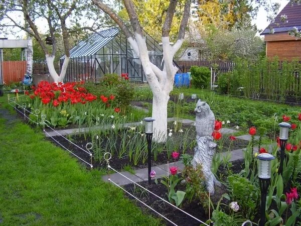 На данном изображении может находиться: растение, цветок и на улице Garden desig