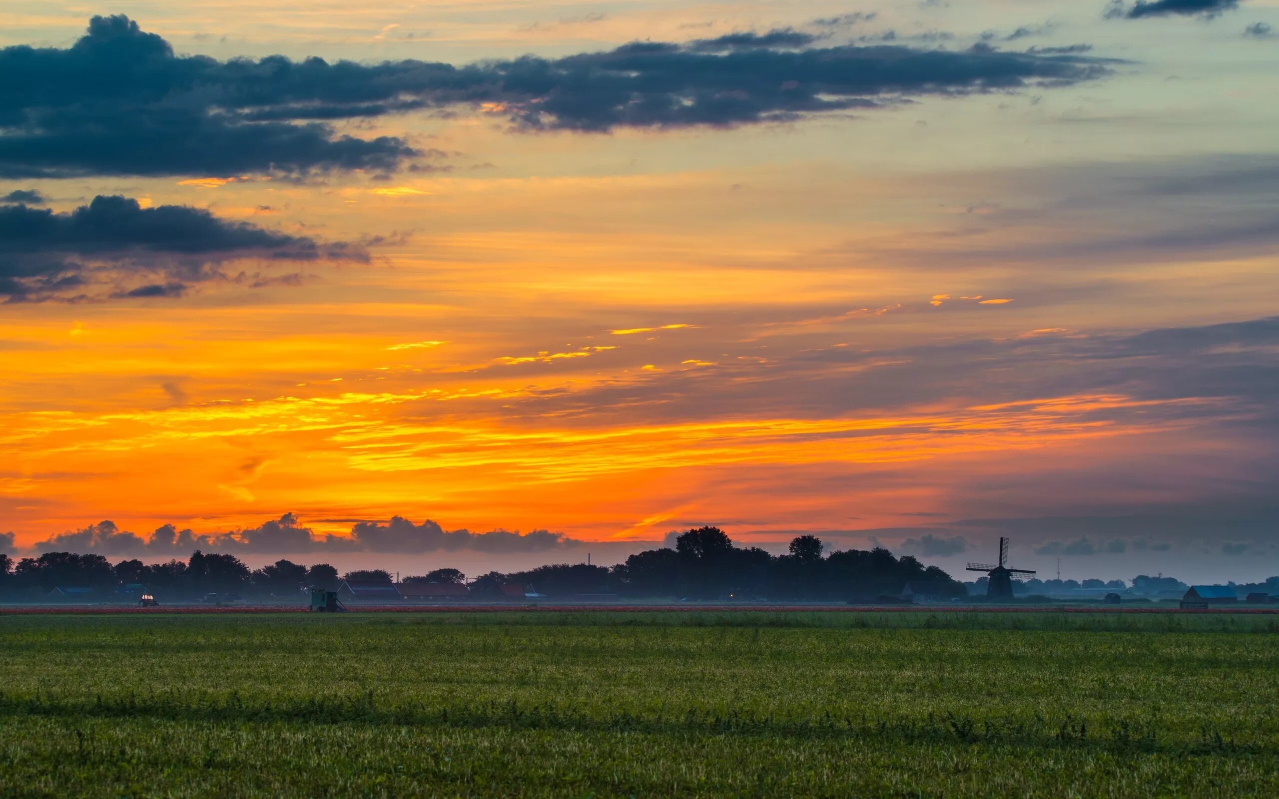 Над сырым полем ответы на вопросы. Над сырым полем. Утро в деревне. Скребицкий рассказы о природе иллюстрации. Над сырым полем.