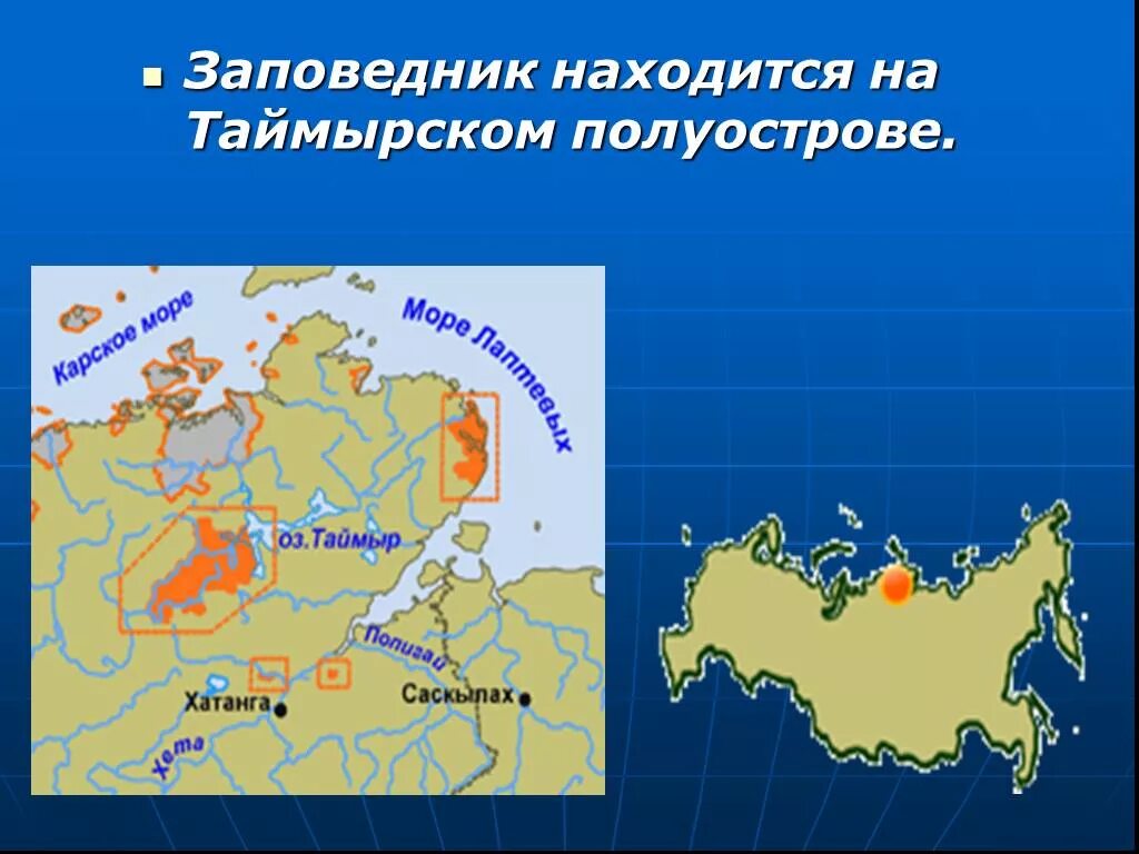 Полуостров Таймыр Таймырский заповедник. Таймырский заповедник на карте России местоположение. Таймырский заповедник на карте. Заповедники Таймыра на карте.