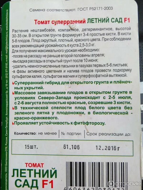 Ответы Mail.ru: Как ухаживать за помидорами черри?