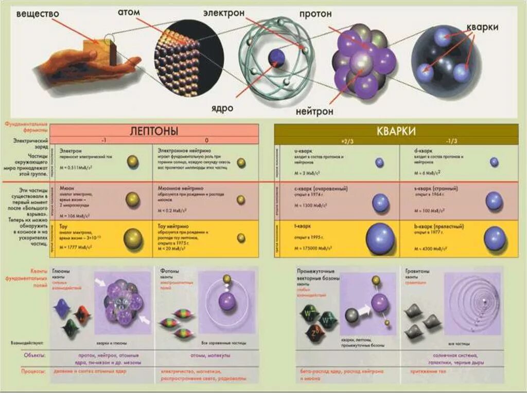 Квантовая физика элементарные частицы. Элементарные частицы ядерная физика. Атомы молекулы кварки. Строение элементарных частиц. Сравнение размеров частиц