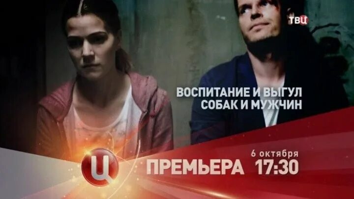 Воспитание собак и мужчин 2017. Воспитание собак и мужчин 2017. Воспитание и выгул собак и мужчин. Воспитание собак и мужчин 2017. Воспитание и выгул собак и мужчин.