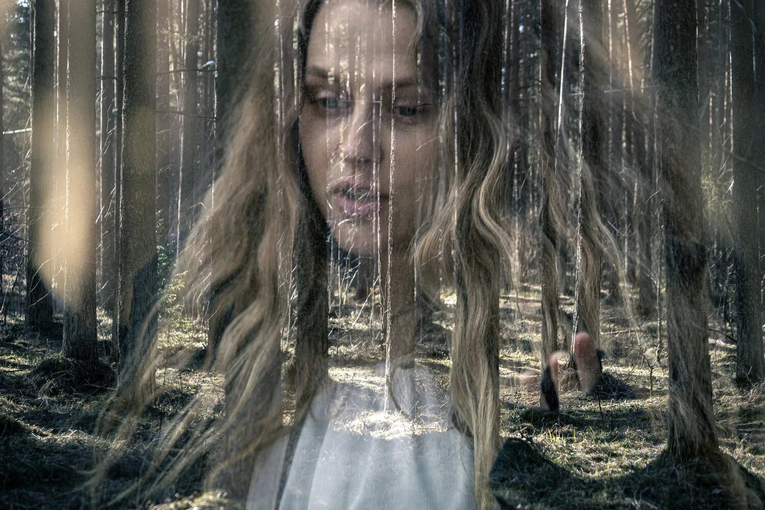 Читать триллеры новинки. Читать триллеры новинки