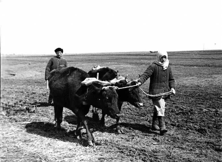 Колхоз отец. Дети труженики тыла в колхозе. иллюстрация труженики тыла дети в поле. иллюстрация труженики тыла подростки в селе. иллюстрация труженики тыла дети колхоз.