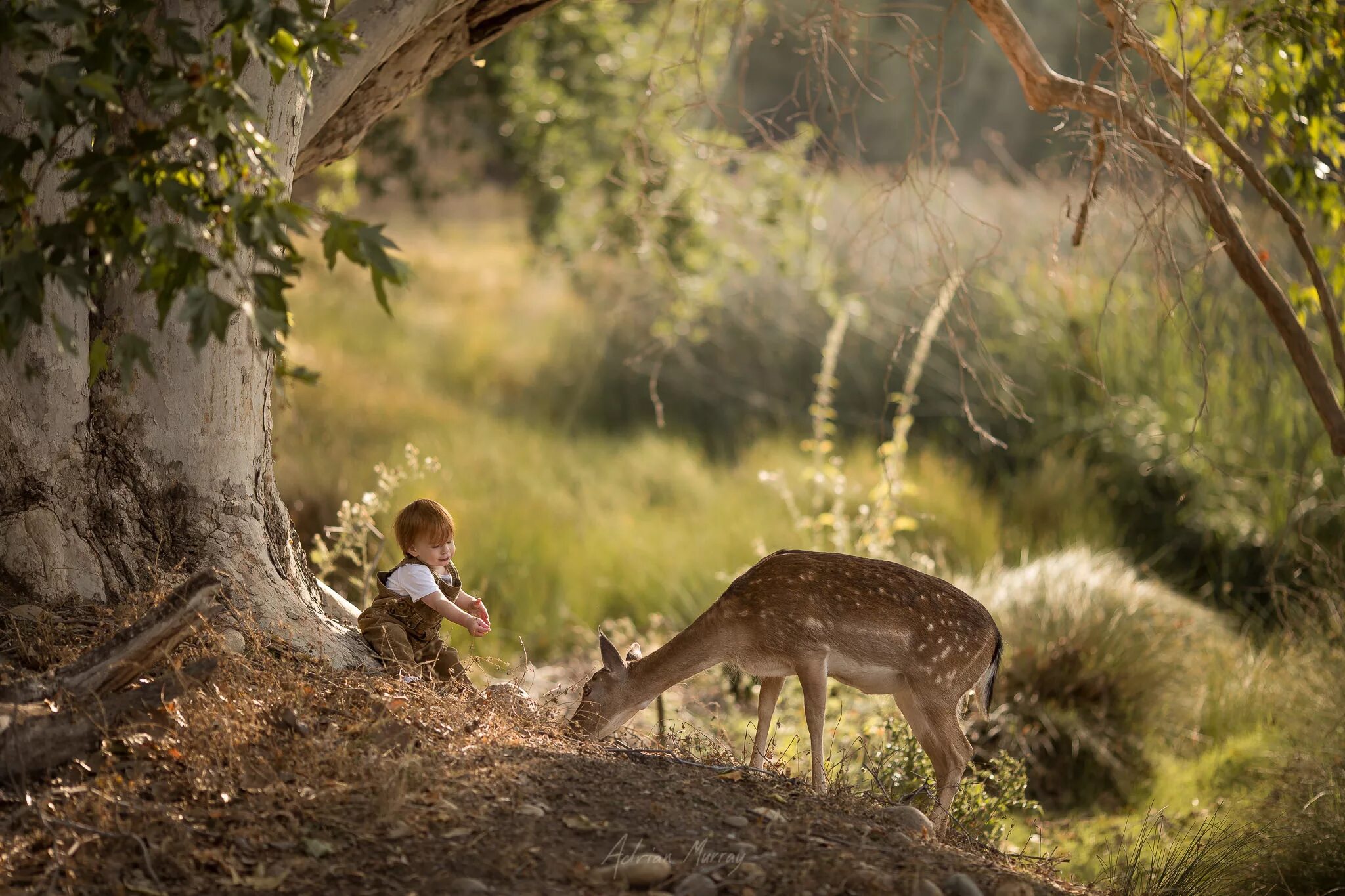 Девушка и дикий зверь. Природа красота дети. Marcel van luit животные. Медведь степан фотосессия. Люди и животные на природе.